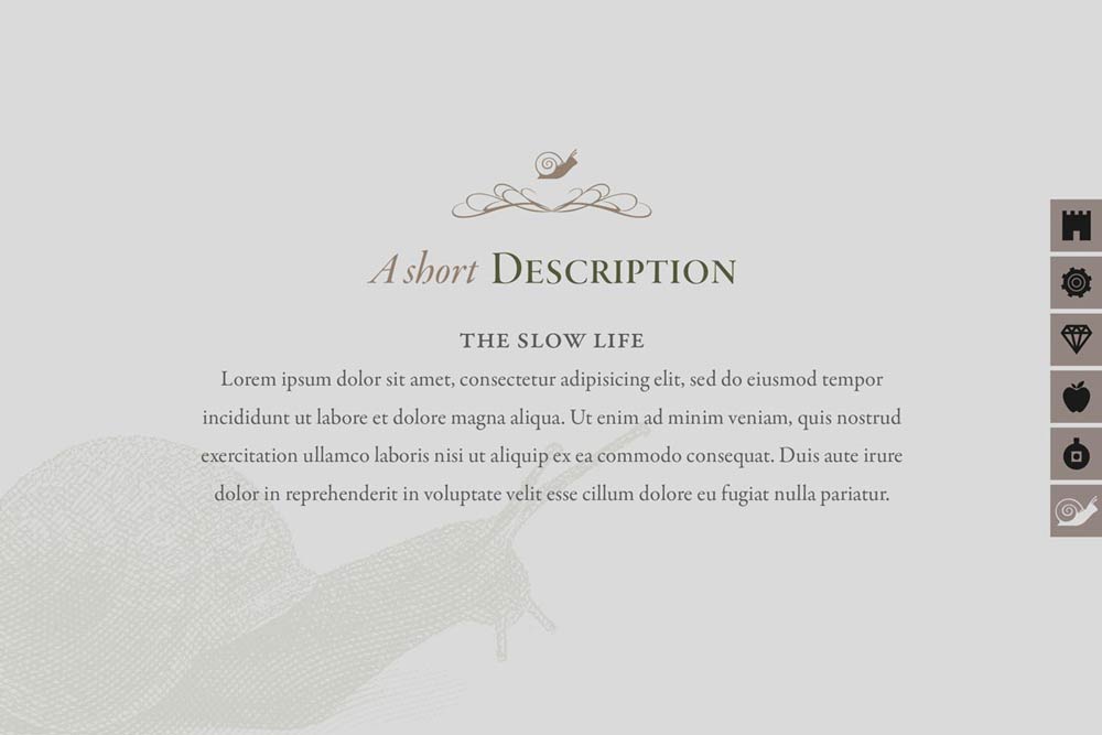 Testimonials and quality assurance section for premium olive oil with engaging customer feedback. NO IDEA. Branding Graphic Design Agency.