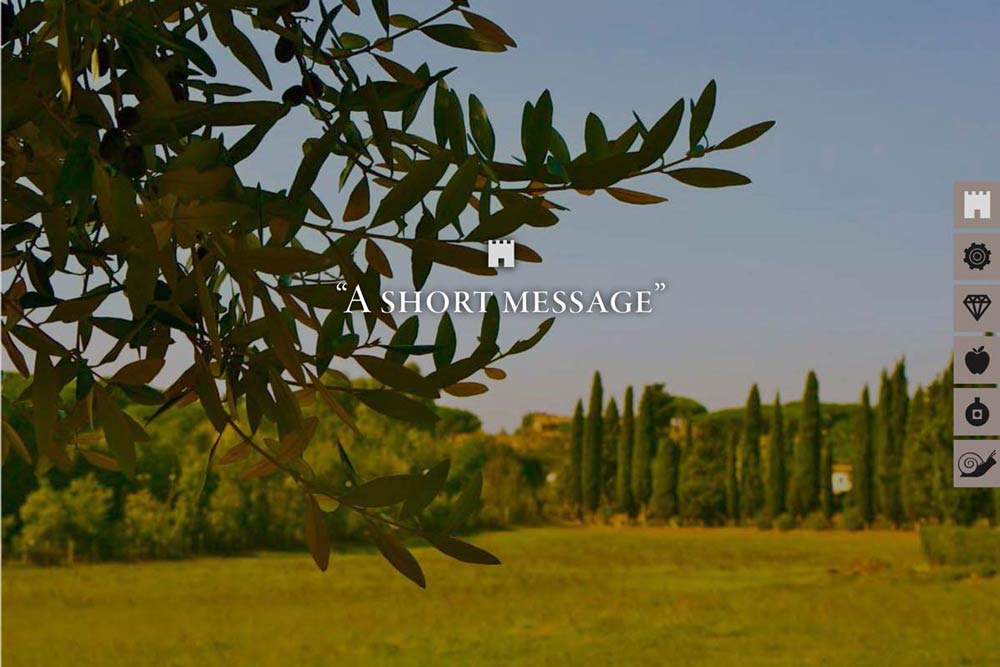 Product showcase webpage featuring premium olive oil bottle photography and brand storytelling. NO IDEA. Branding Graphic Design Agency.