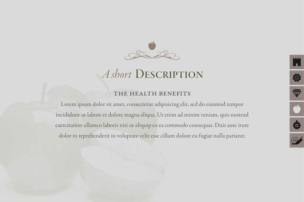 Contact and distribution information page for olive oil producer with integrated map features. NO IDEA. Branding Graphic Design Agency.