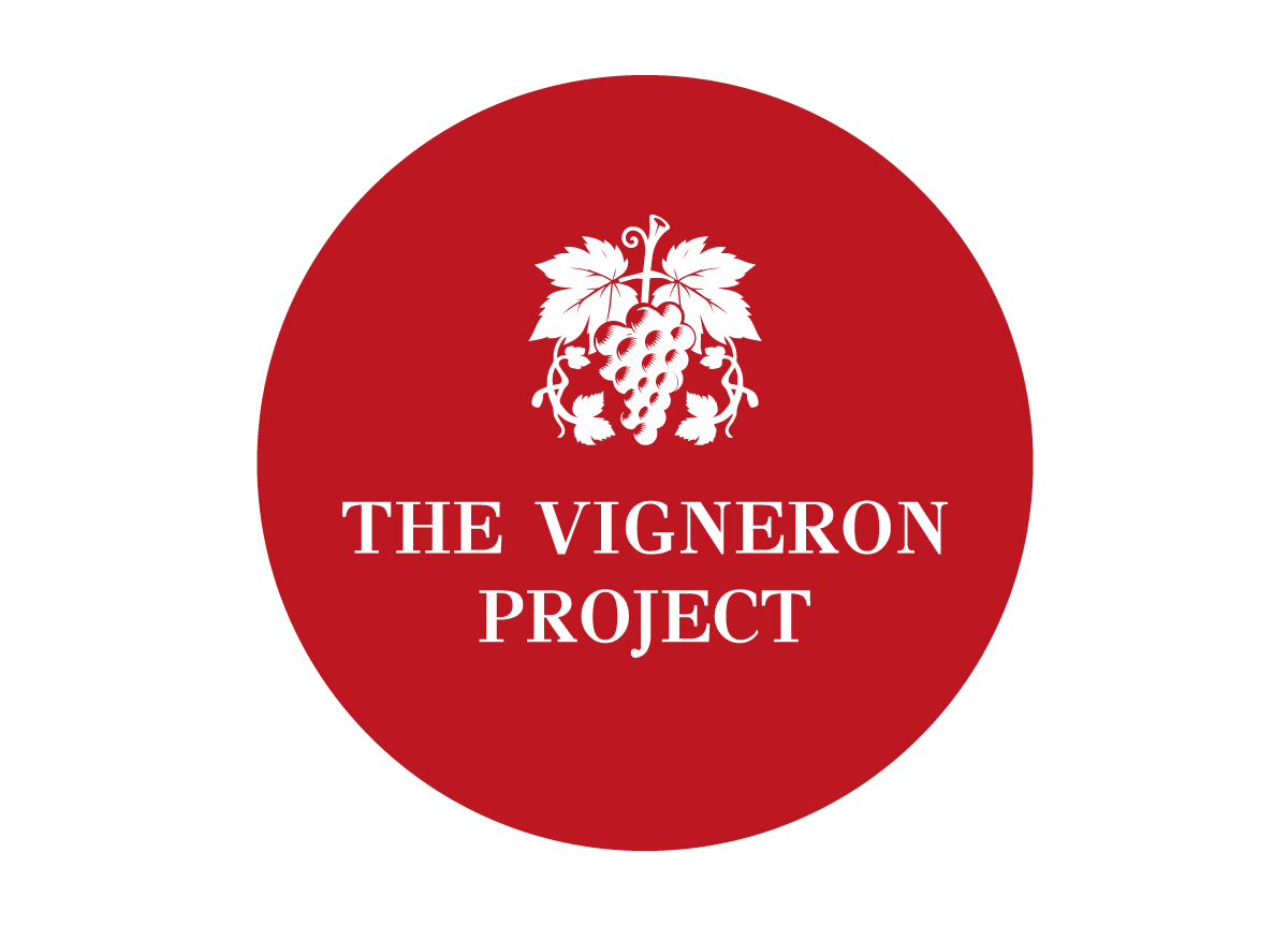 Premium red wine logo design with artistic engraved elements. NO IDEA Branding Graphic Design Agency