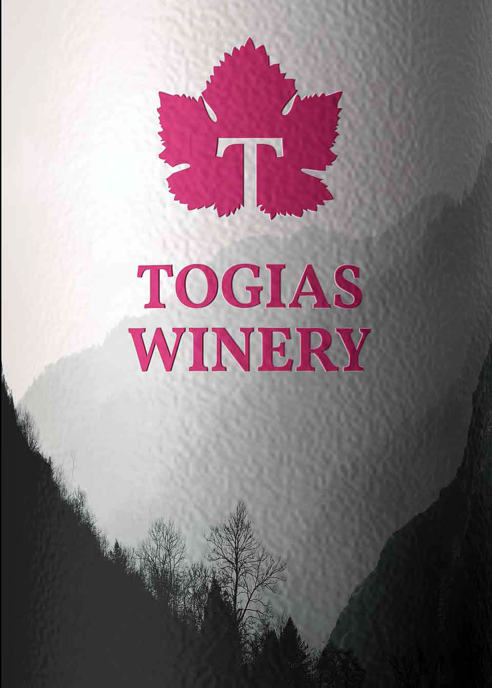 Close-up of red wine label logo featuring calligraphic typography and distinct identity elements. NO IDEA. Branding Graphic Design Agency.