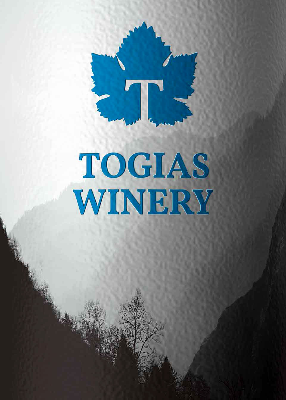 Detailed view of white wine label logo showcasing typography details and color application. NO IDEA. Branding Graphic Design Agency.